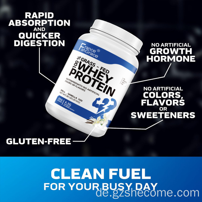 Neuankömmlinge Molkepulver unterstützt den Muskelgewinn